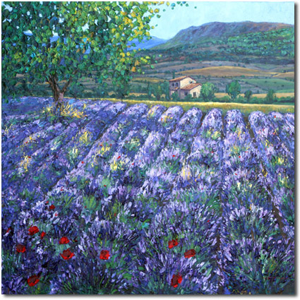 Provence Oasis 425px Old